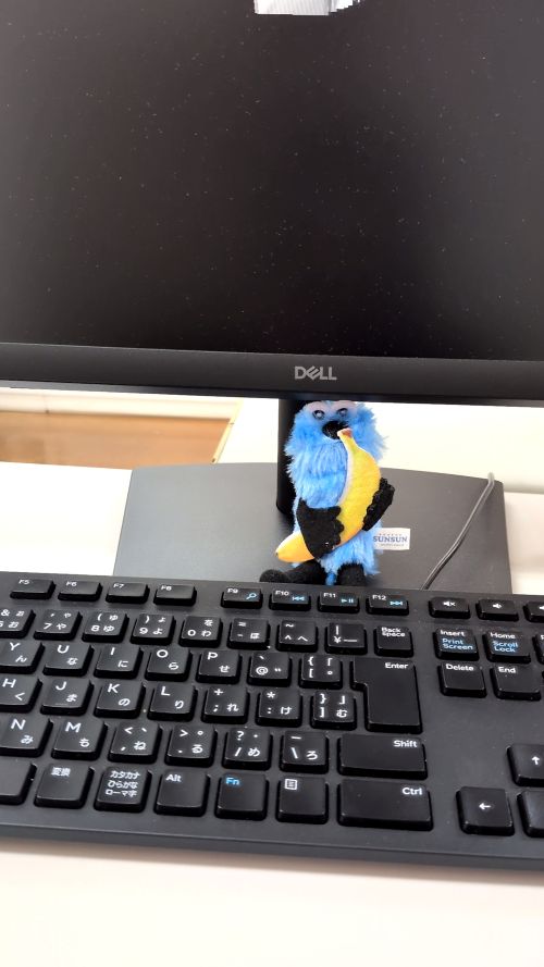 ついに・・・