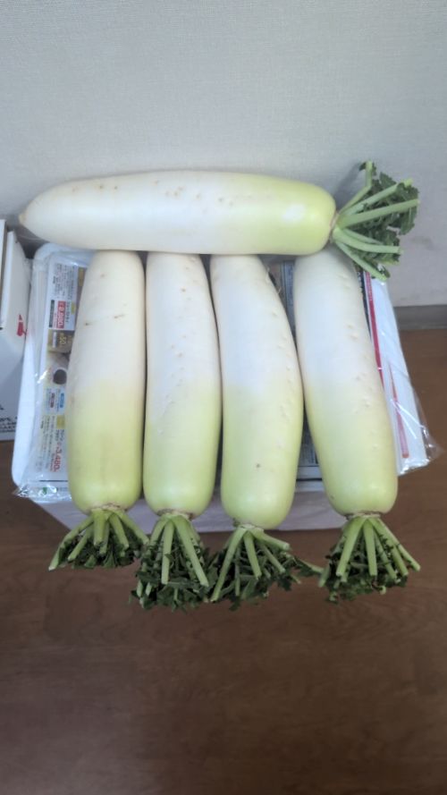 ついに