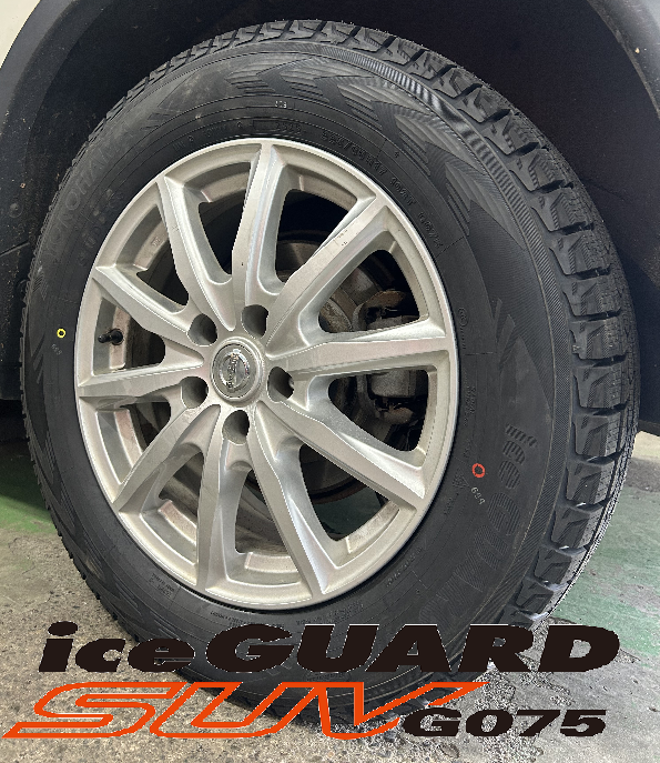 エクストレイル&times;iceGUARD SUV