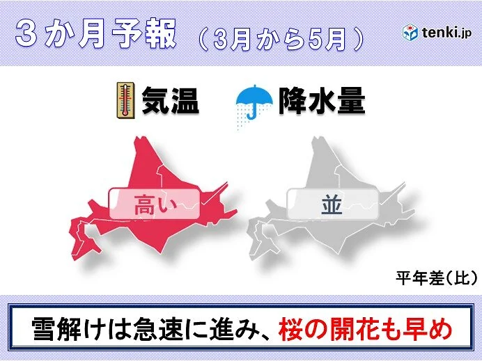 気になる雪解け