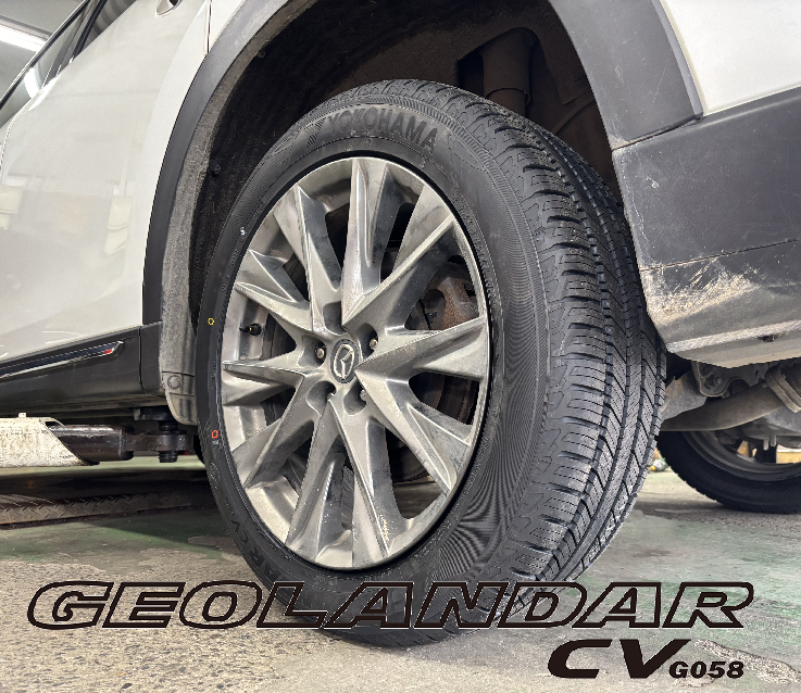 ＣＸ－８&times;GEOLANDAR CV