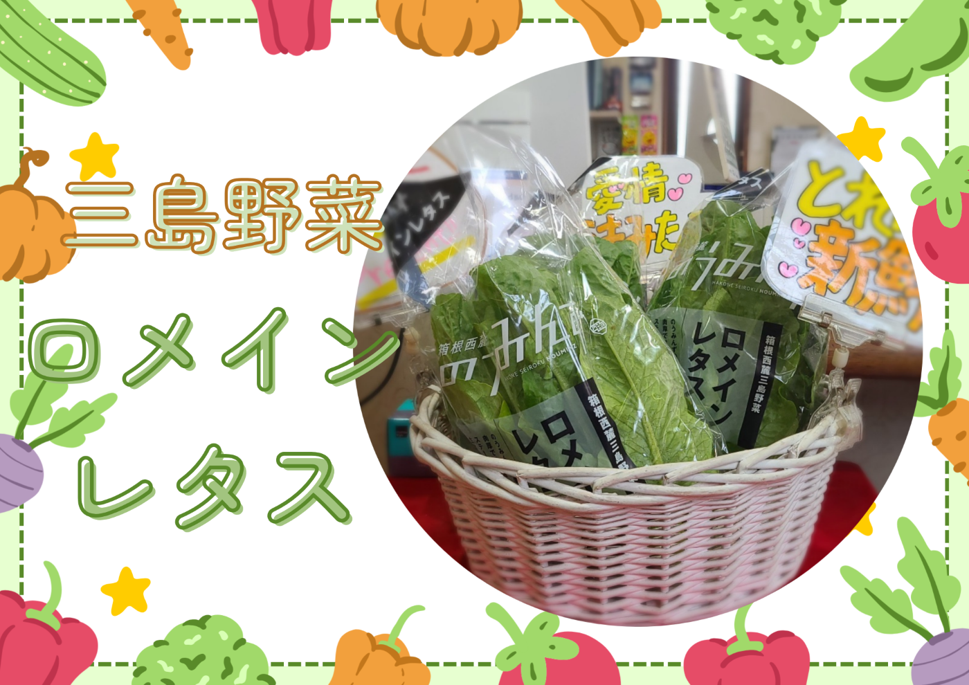 三島野菜