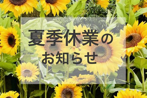 news_lead