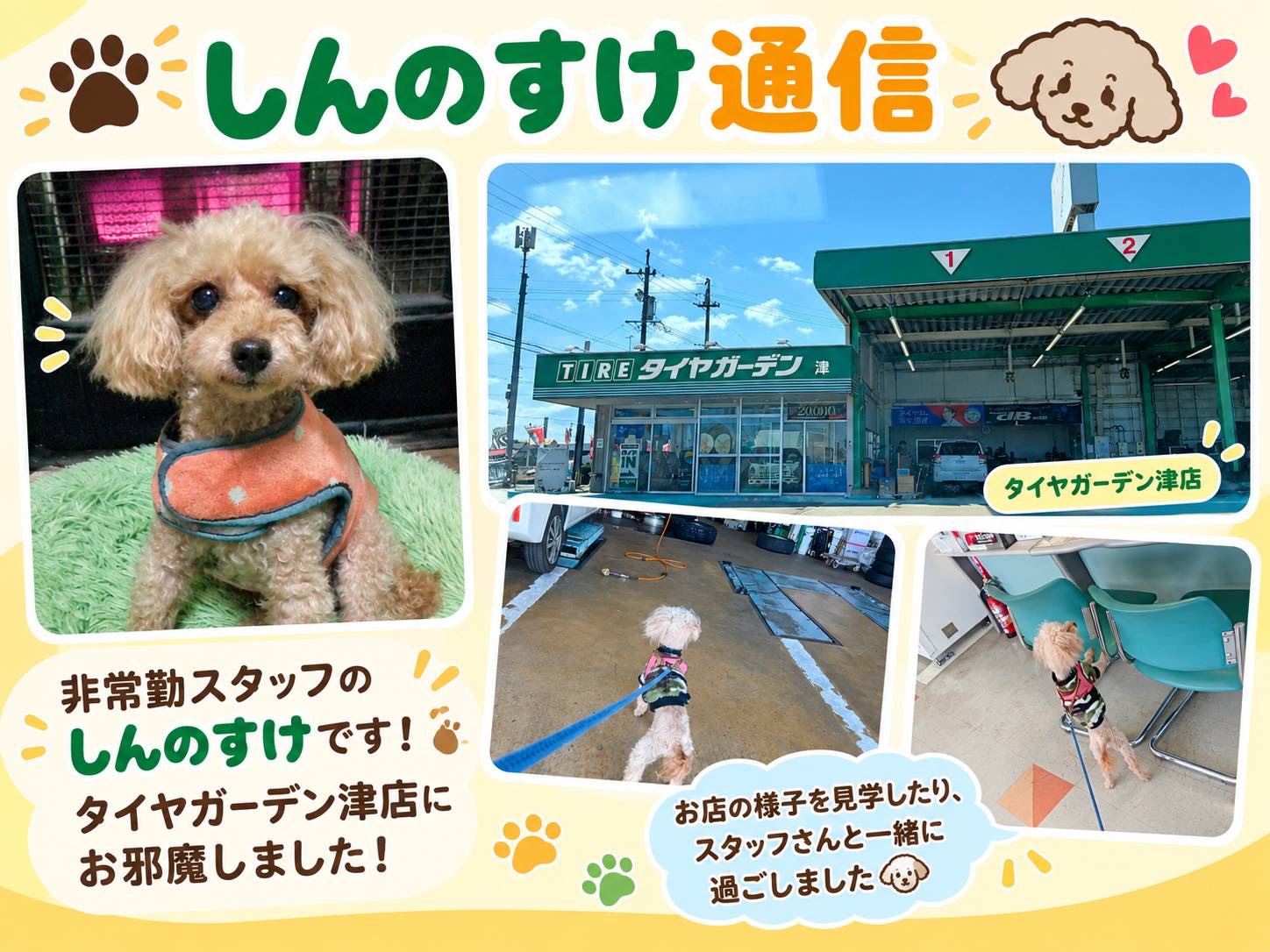 しんのすけ通信　番外編