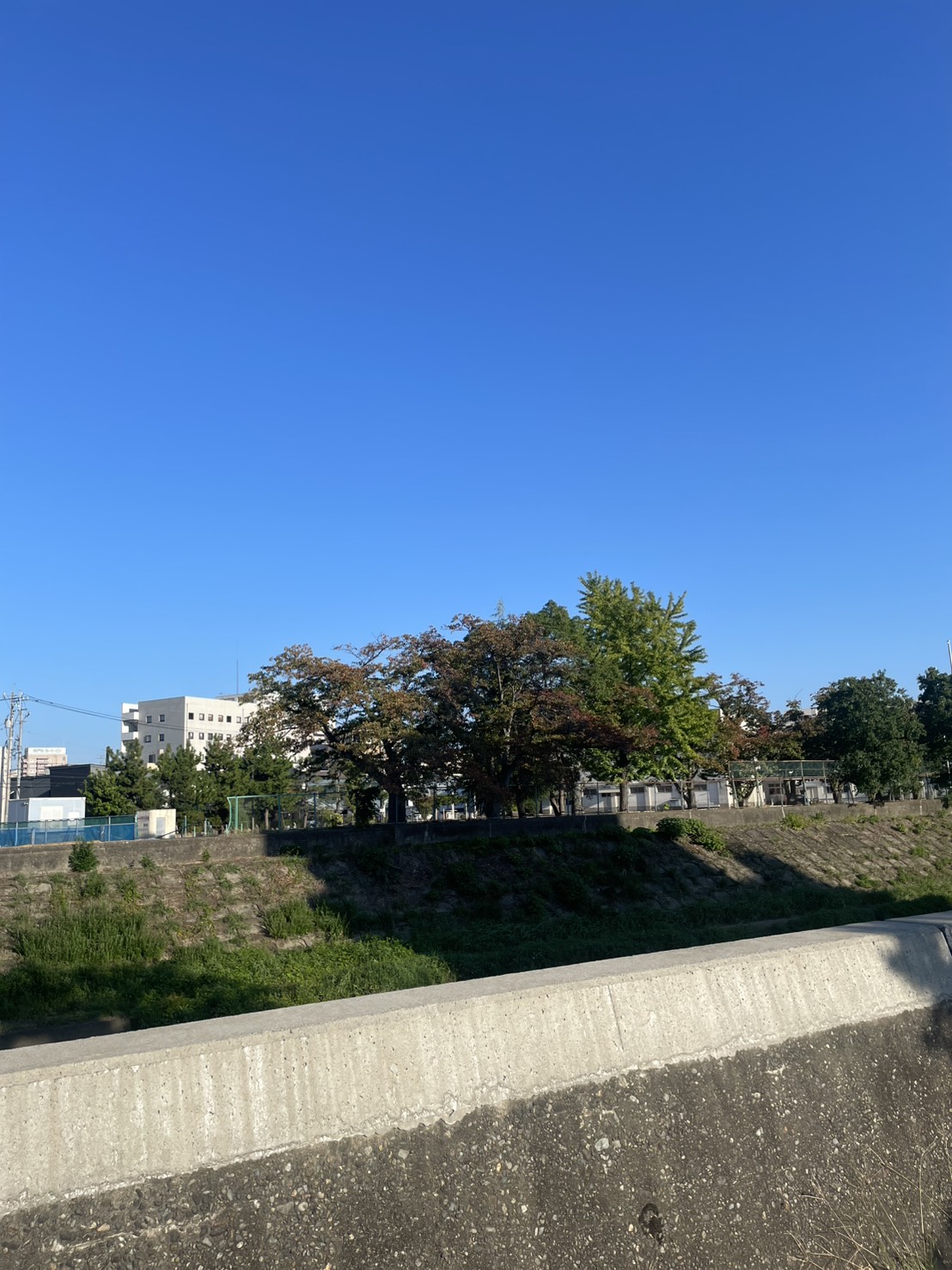 もうすぐ、繁忙期。