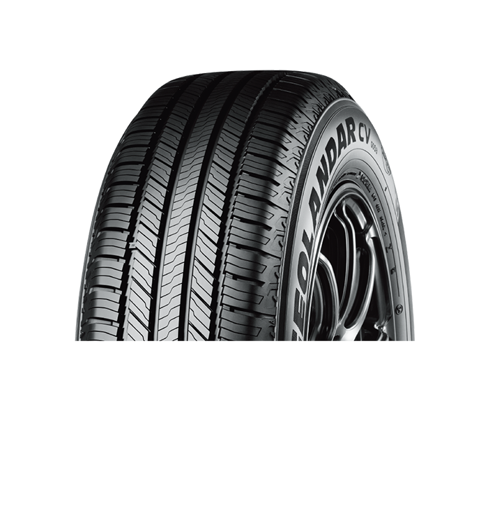 GEOLANDAR CV G058
